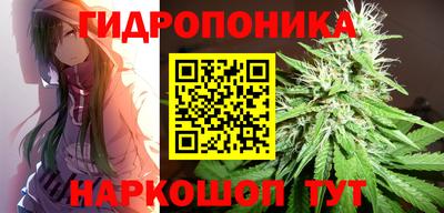 мдпв Старая Купавна