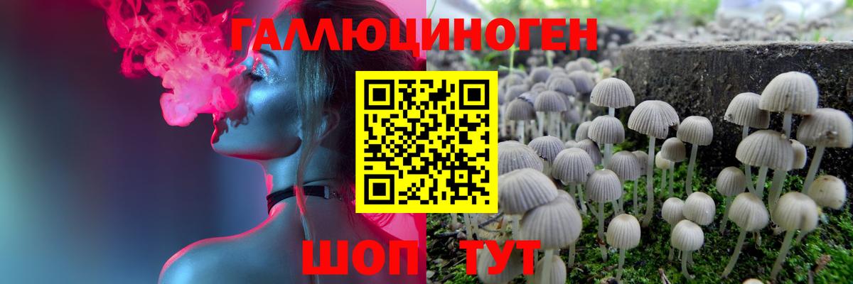 Псилоцибиновые грибы мицелий  магазин  наркотиков  Новосибирск  Вход с VPN  Псилоцибиновые грибы мухоморы 