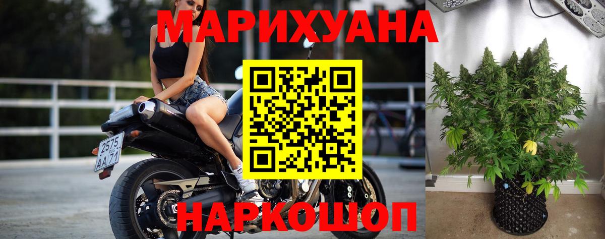 Конопля SATIVA & INDICA Новосибирск